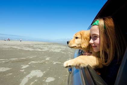 Hundehaftpflicht - Mit Hund im Urlaub